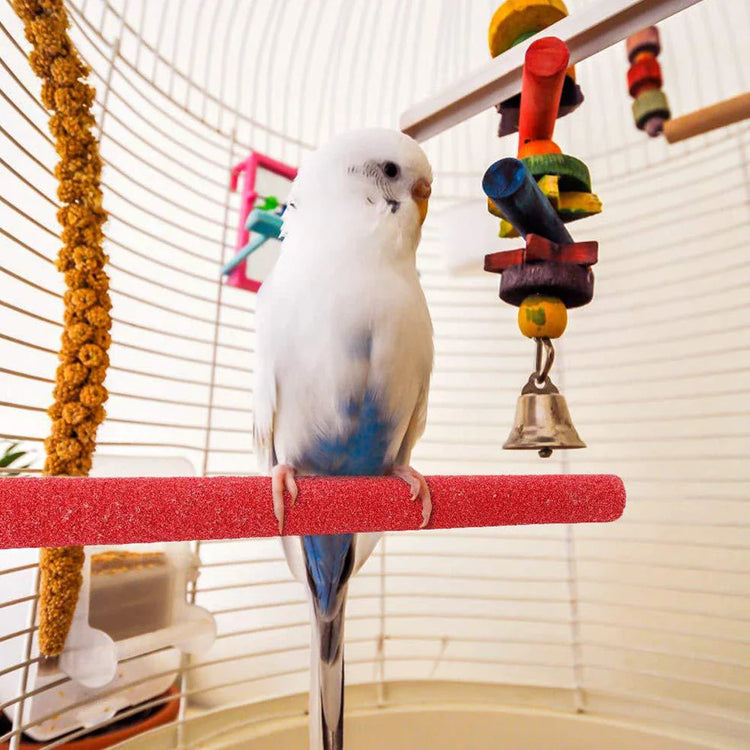Bird Products