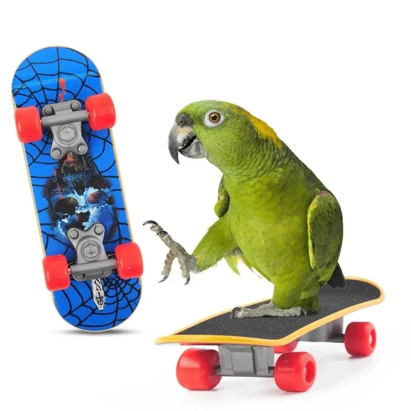 Bird Toy Canary Skateboard Parrot Training Skateboard Bird Supplies Skates Lovebird Canaries Perch for Parrots For Birds Toy Acc - MyBestMate