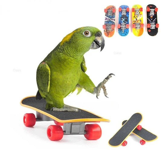 Bird Toy Canary Skateboard Parrot Training Skateboard Bird Supplies Skates Lovebird Canaries Perch for Parrots For Birds Toy Acc - MyBestMate