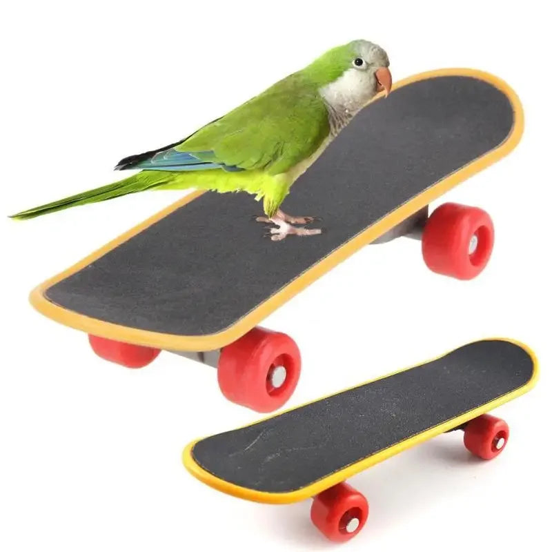 Bird Toy Canary Skateboard Parrot Training Skateboard Bird Supplies Skates Lovebird Canaries Perch for Parrots For Birds Toy Acc - MyBestMate